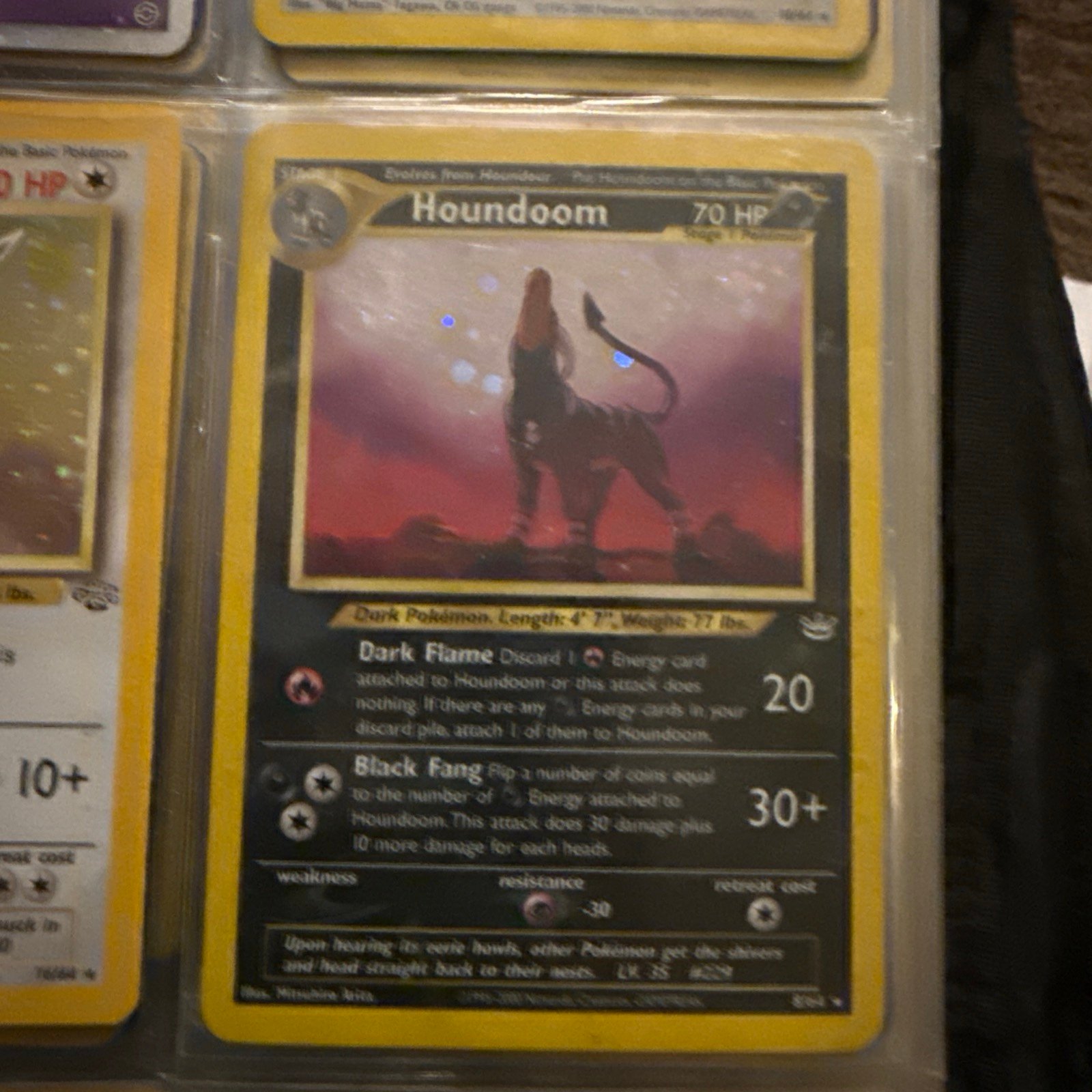 Pokémon houndoom holo rare