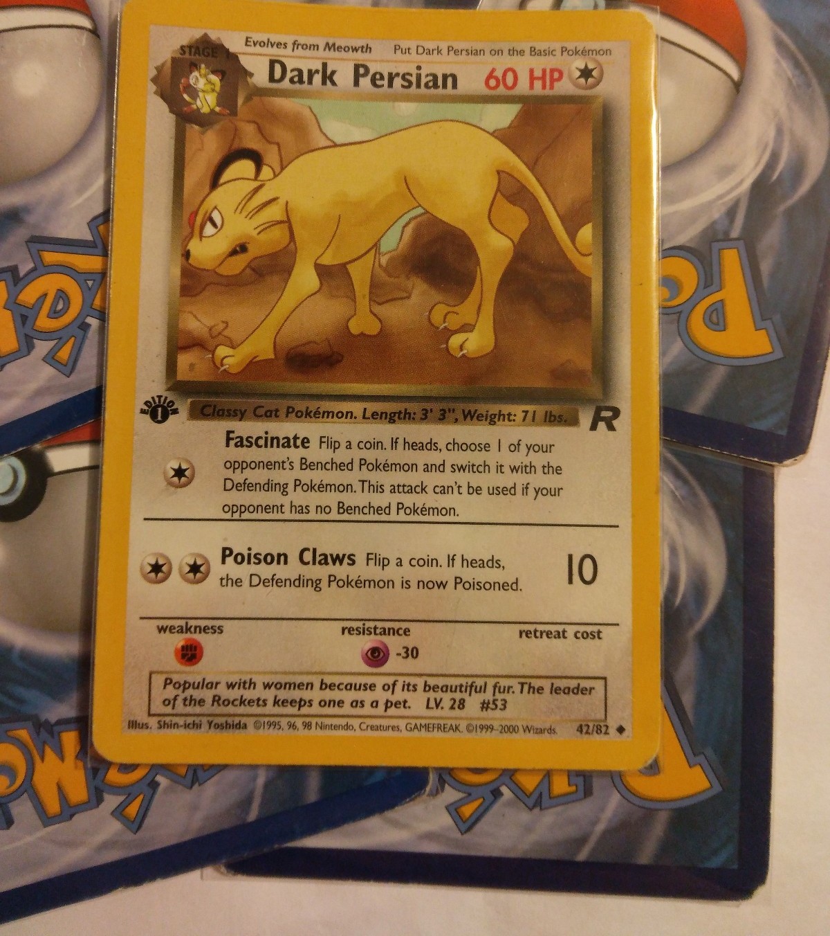 1st Edition Dark Persian
