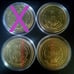 Lot of 3, Walt Disney World 50th Anniversary Gold Token Coins + 3 Clear Cases