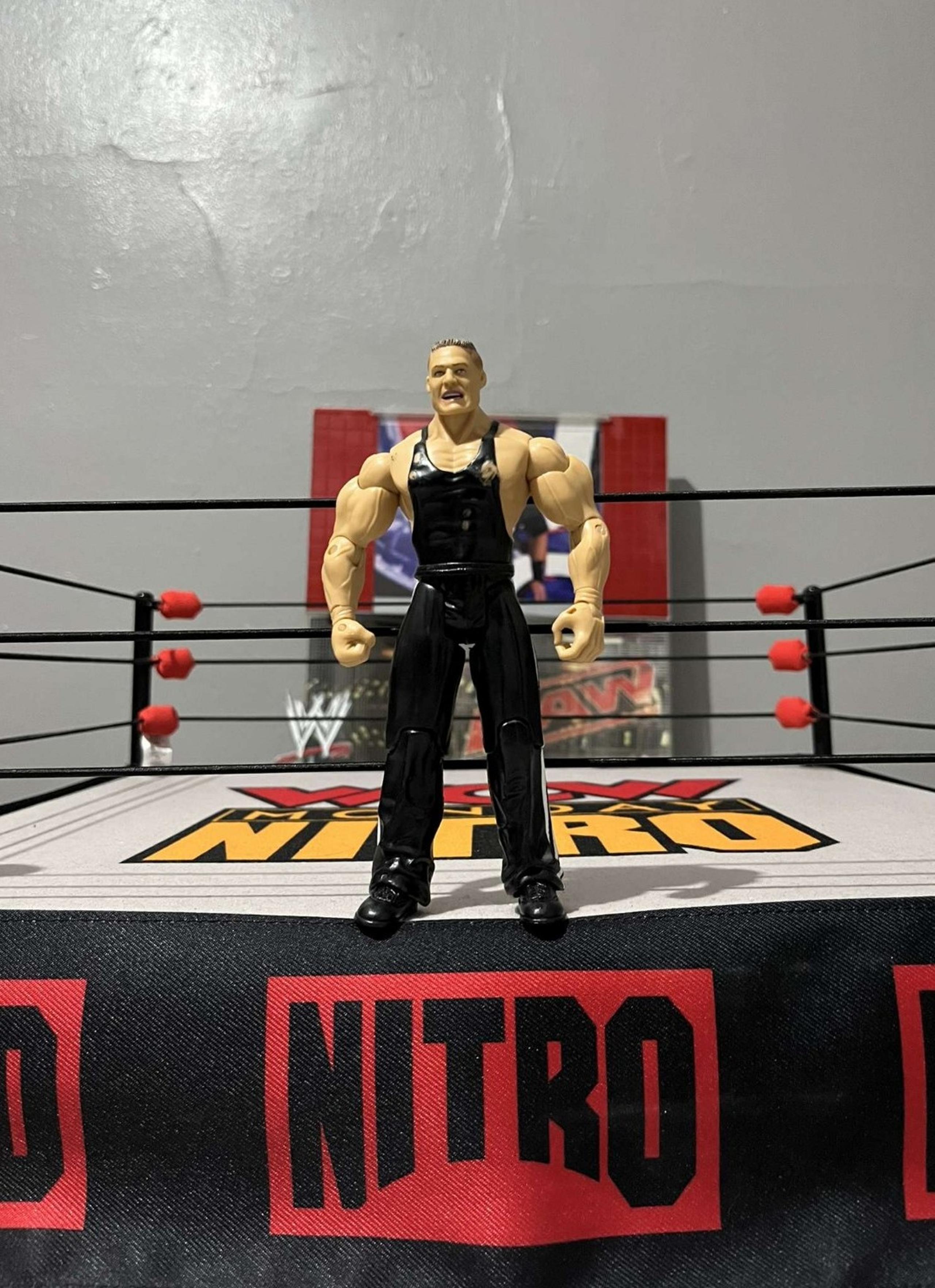 Brock Lesnar Jakks Figure