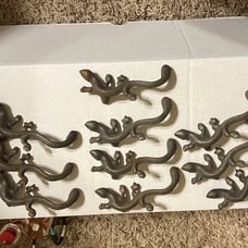 Cast Iron Gecko Shaped drawer pulls