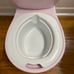 Summer Infant potty Chair