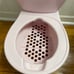 Summer Infant potty Chair