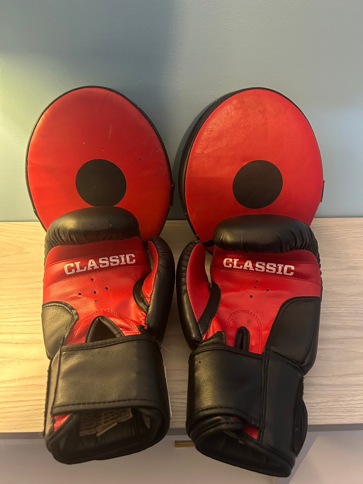 Classic Leather Elastic Training Gloves 2.0 And Everlast Targets