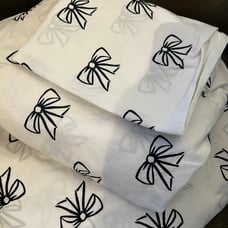 Emily and Merritt twin sheet set Pottery Barn kids