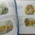 The Complete Peter Rabbit Beatrix Potter numbered edition