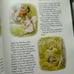 The Complete Peter Rabbit Beatrix Potter numbered edition