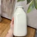 Rae Dunn Moo & Fresh Cow Ceramic Milk Container and Pitcher