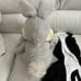 Disney baby Flower the skunk (from bambi) bodysuit costume and thumper plush