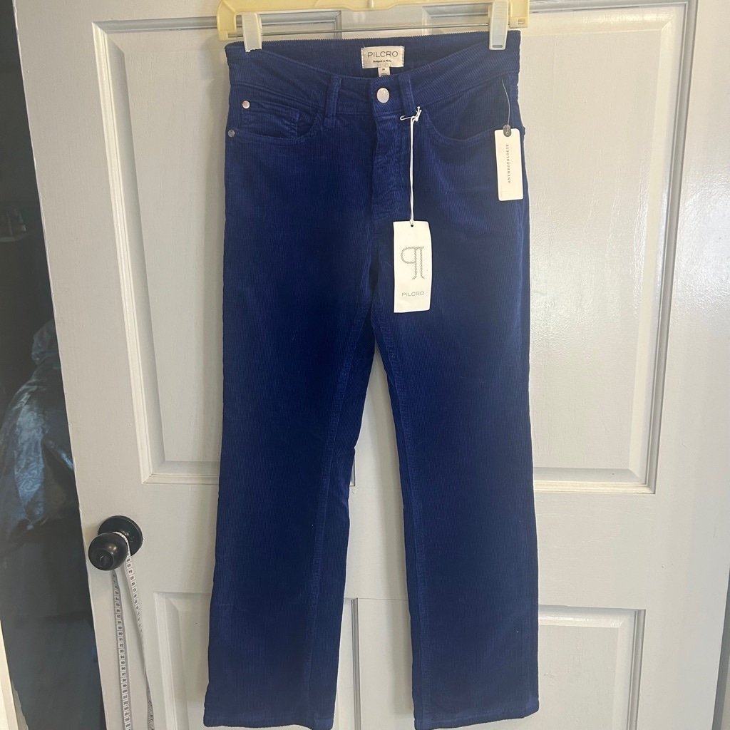 Women's Anthropologie Blue Corduroy Pants Size 25