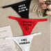 New Women's 3 Piece Assorted Naughty Graphic Thong Panties 4 Sizes 3 Colors.