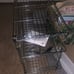 Produce Rack