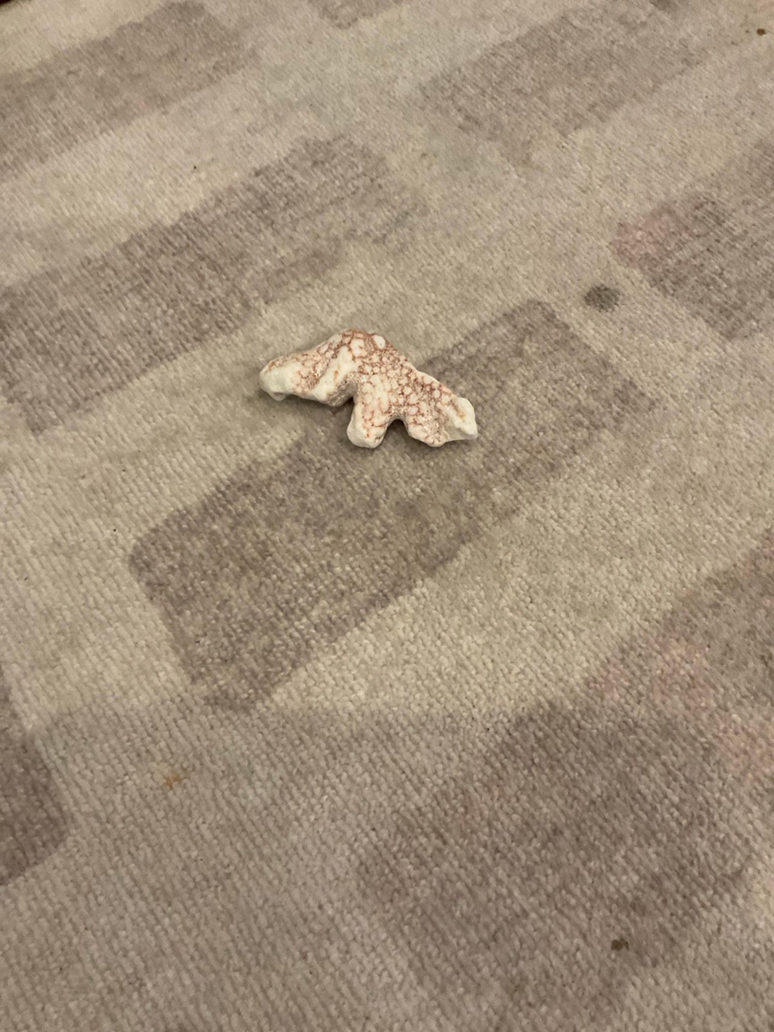 Coral