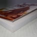 The Supreme Yoga: A New Translation Of The Yoga Vasistha (2 volume) book