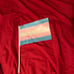 Transgender Pride Flag