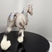 Breyer Classic Shire A Color Variation #627 produced 2002