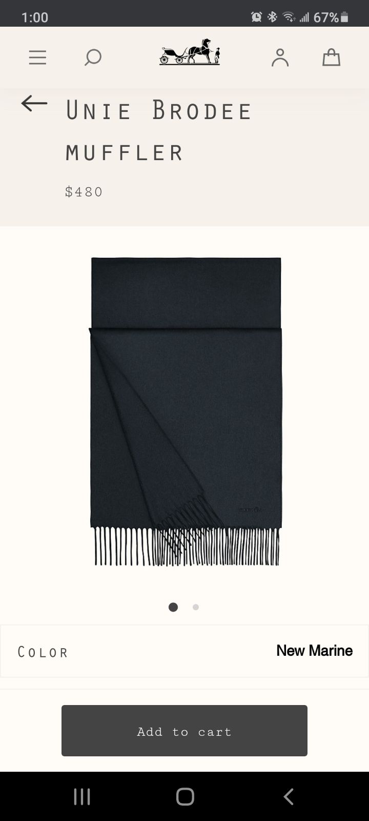 HERMES mens muffler
