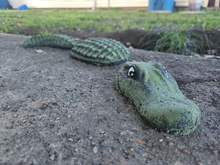 Hand painted porch gator