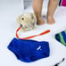 American Girl LANIE DOLL In MEET OUTFIT Dress Shoes Panties Bracelet Rabbit BOX