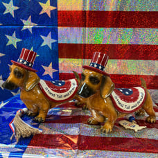 Patriotic Dachshund Blue Sky set of 2