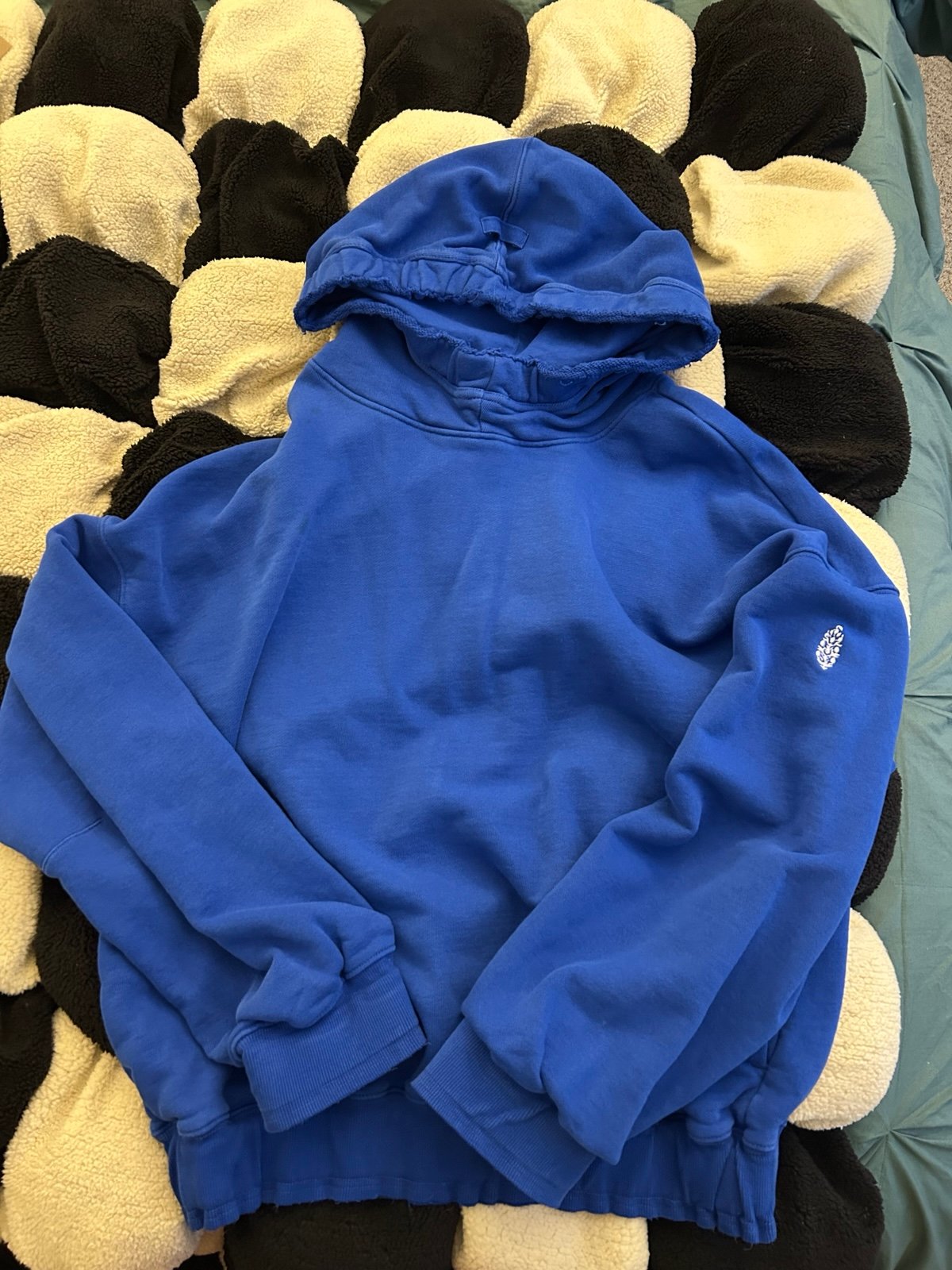 Free People Hoodie