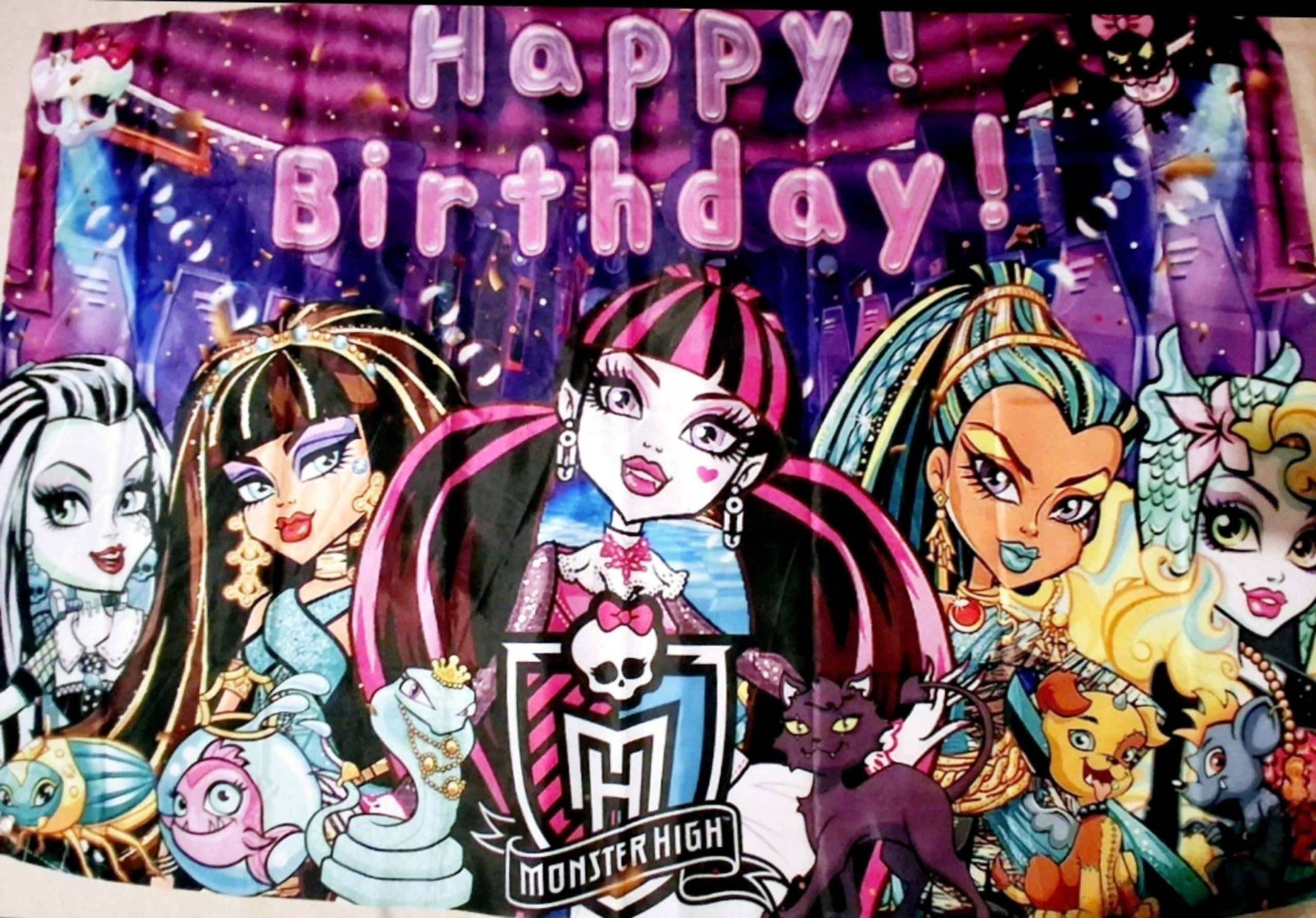 Birthday Background Monster High Dolls Party Banner Decoration. 38 x 58inches