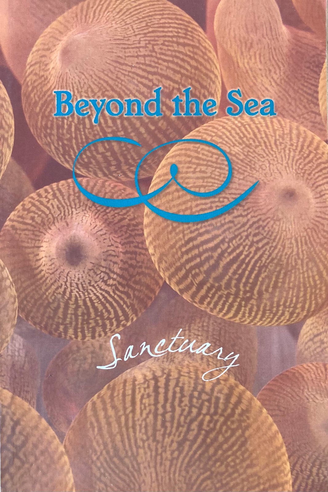 Beyond the Sea Sanctuary by Eber & Wein Publishing 2015