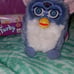 Furby