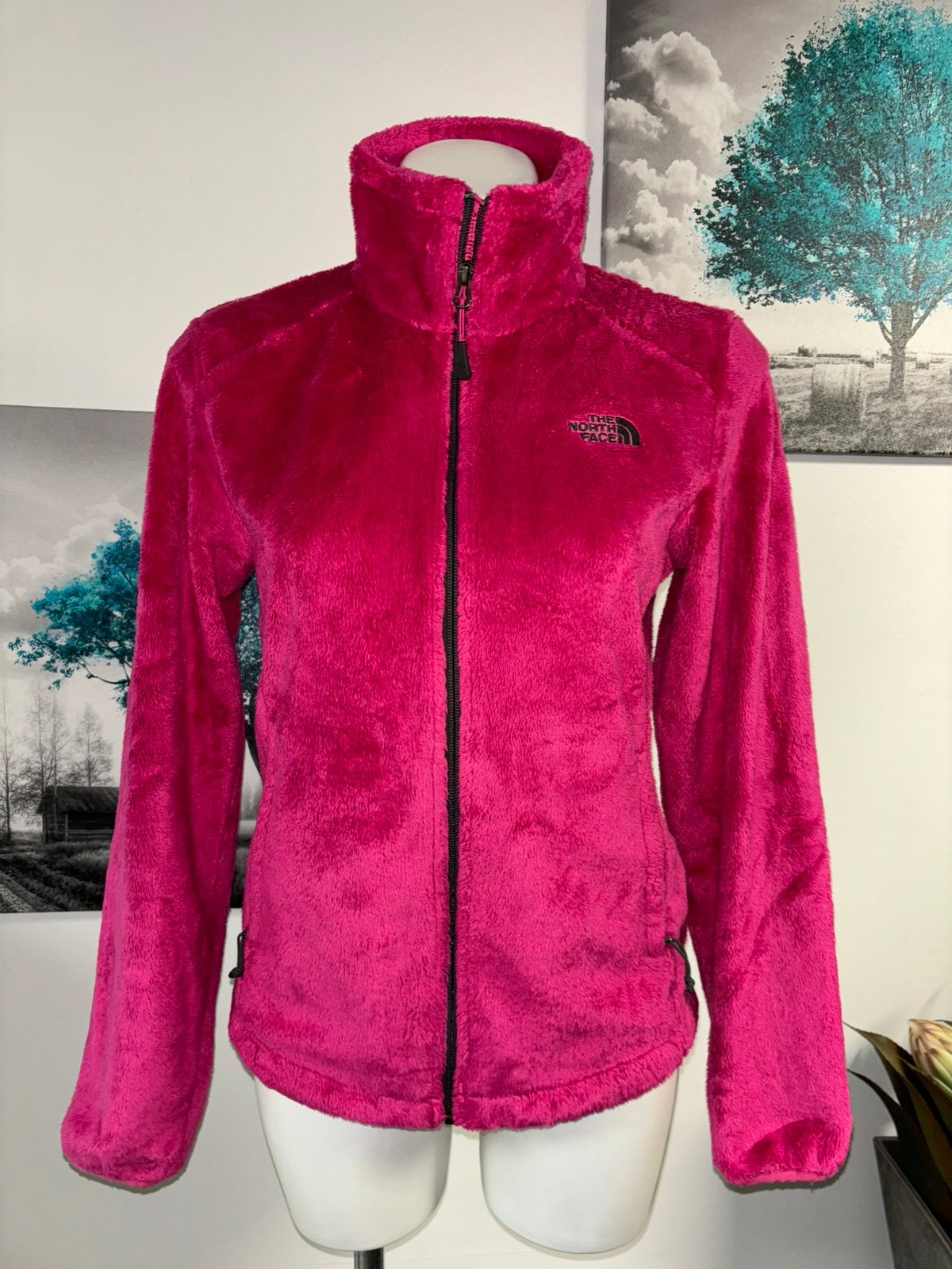 North The north face women’s fuzzy full zip size small Great condition