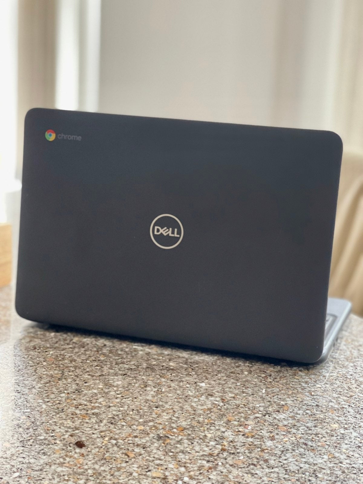 Dell 3100 Chromebook 11 .6 inch