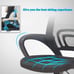 Home Office Chair Ergonomic Desk Chair Mesh Computer Chair with Lumbar Support