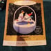 Hallmark 1995 peanuts light motion keepsake magic nib
