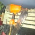 Ridgid Air Nailer