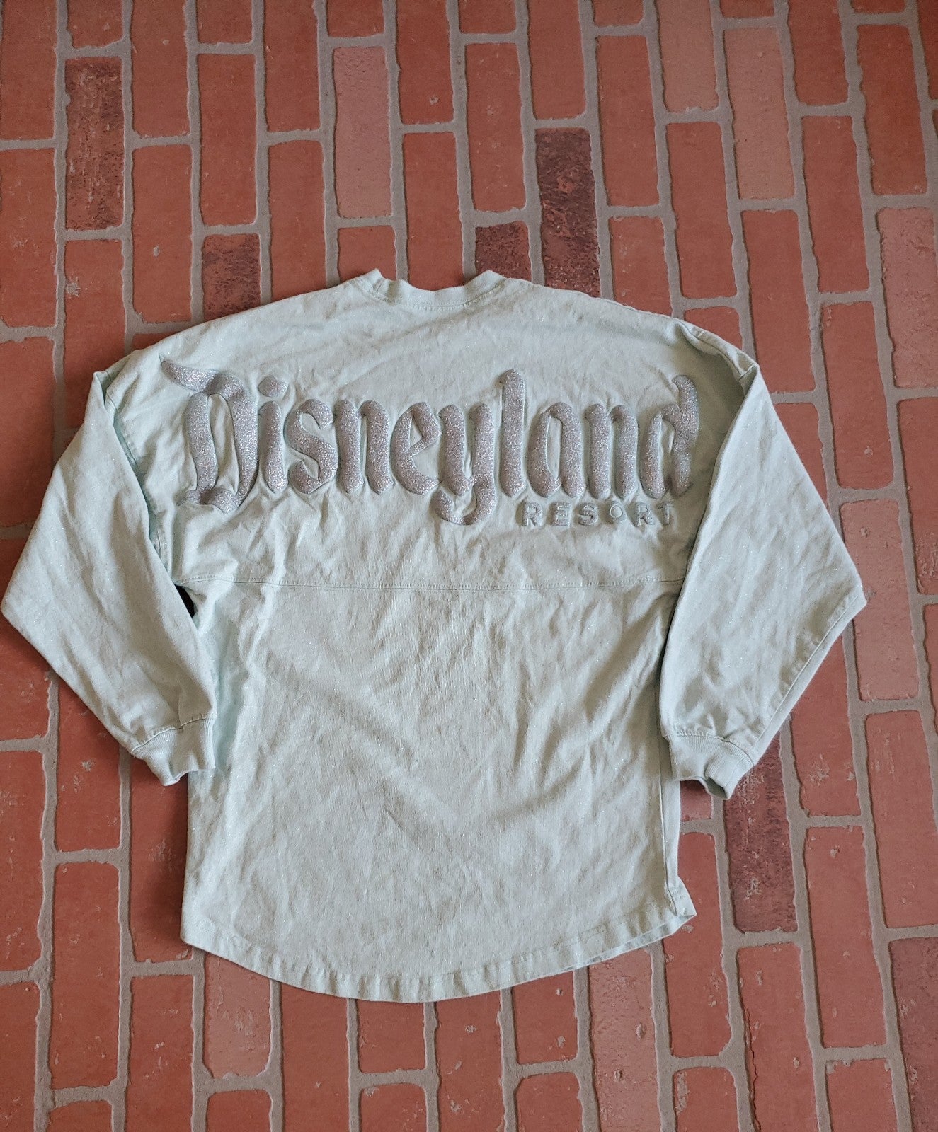 Disney Spirit Jersey Disneyland Resort Shirt Size XS