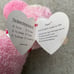 Ty Beanie Babies
