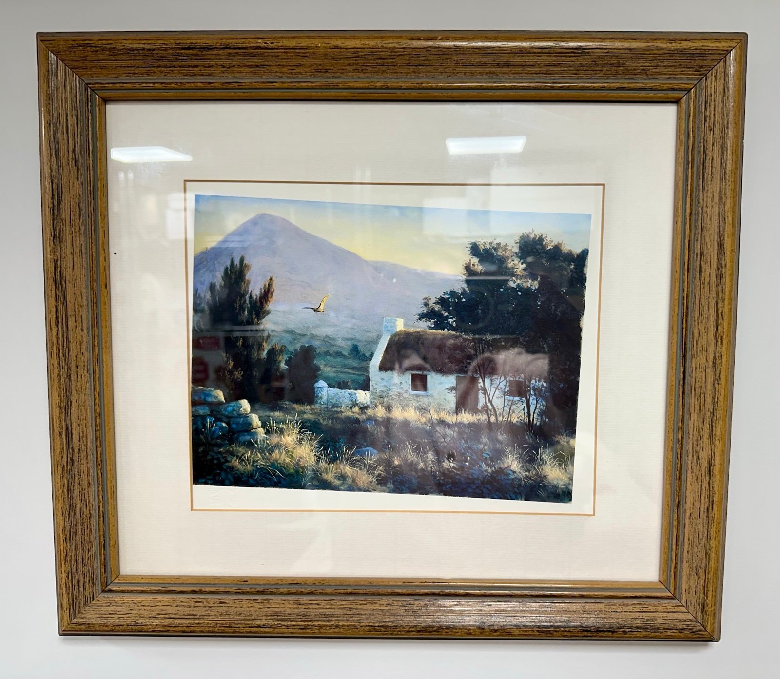 Framed Print “Short Eared Owl Flying Over Cottage” By Artist Julian Friers