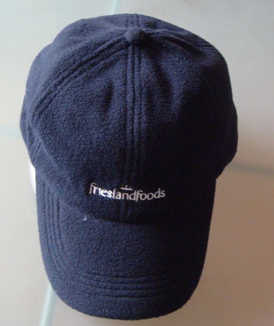 Embroidery Winter Hat Fleece Cap