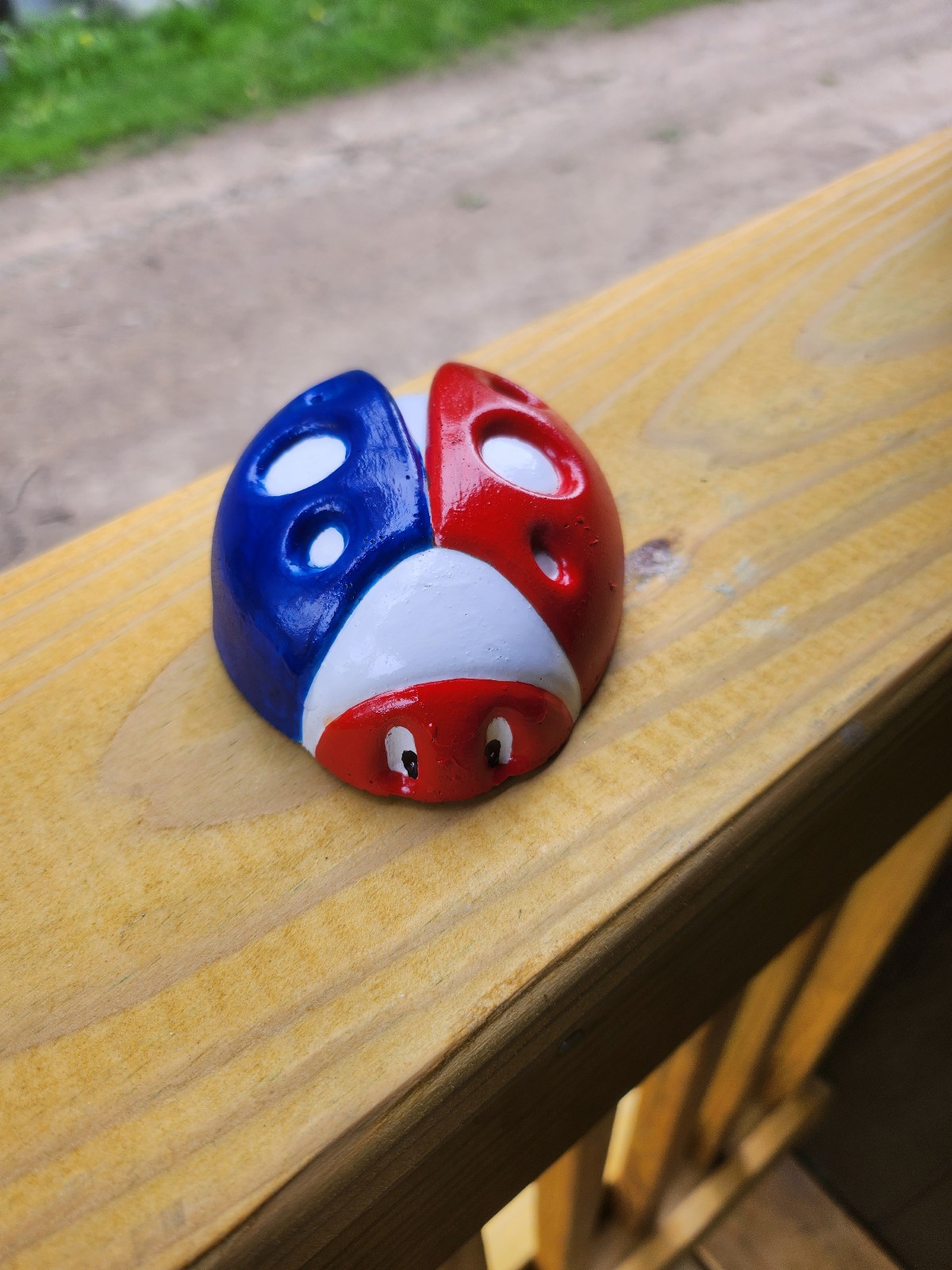 Patriotic lady bug (4)