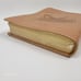 Wild about Horses Bible by Zondervan 2009 NIV Italian Duo Tone