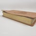 Wild about Horses Bible by Zondervan 2009 NIV Italian Duo Tone