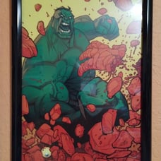 Ryan Ottley framed print Signed Hulk vs Thing