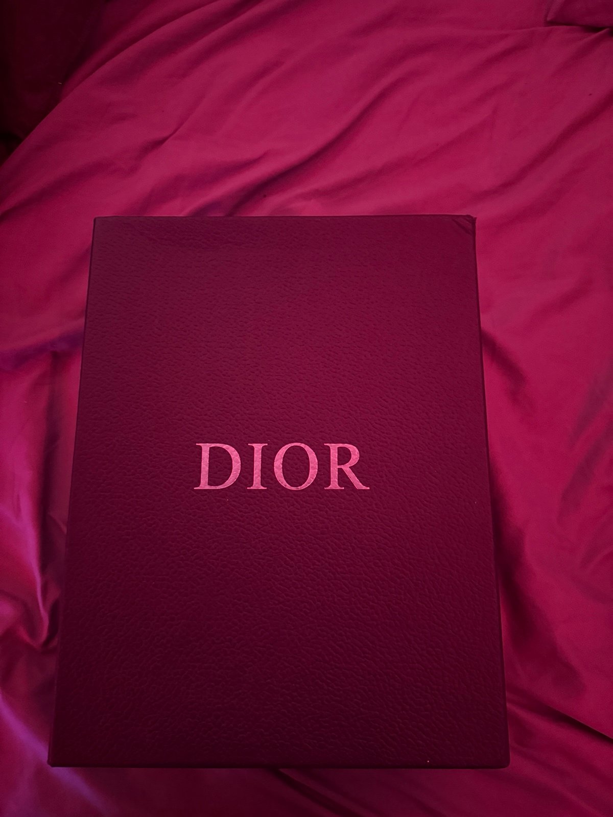 Christian dior b22