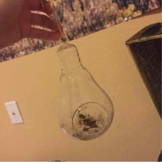 Hanging lightbulb glass planter