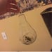 Hanging lightbulb glass planter