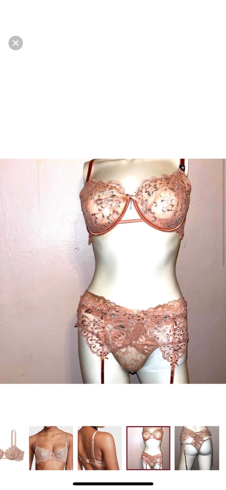 Victoria's Secret DREAM ANGELS Allure Shine Garter & bra Set