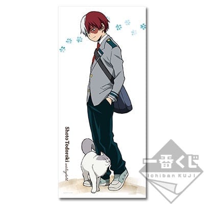 MHA neko kuji bundle