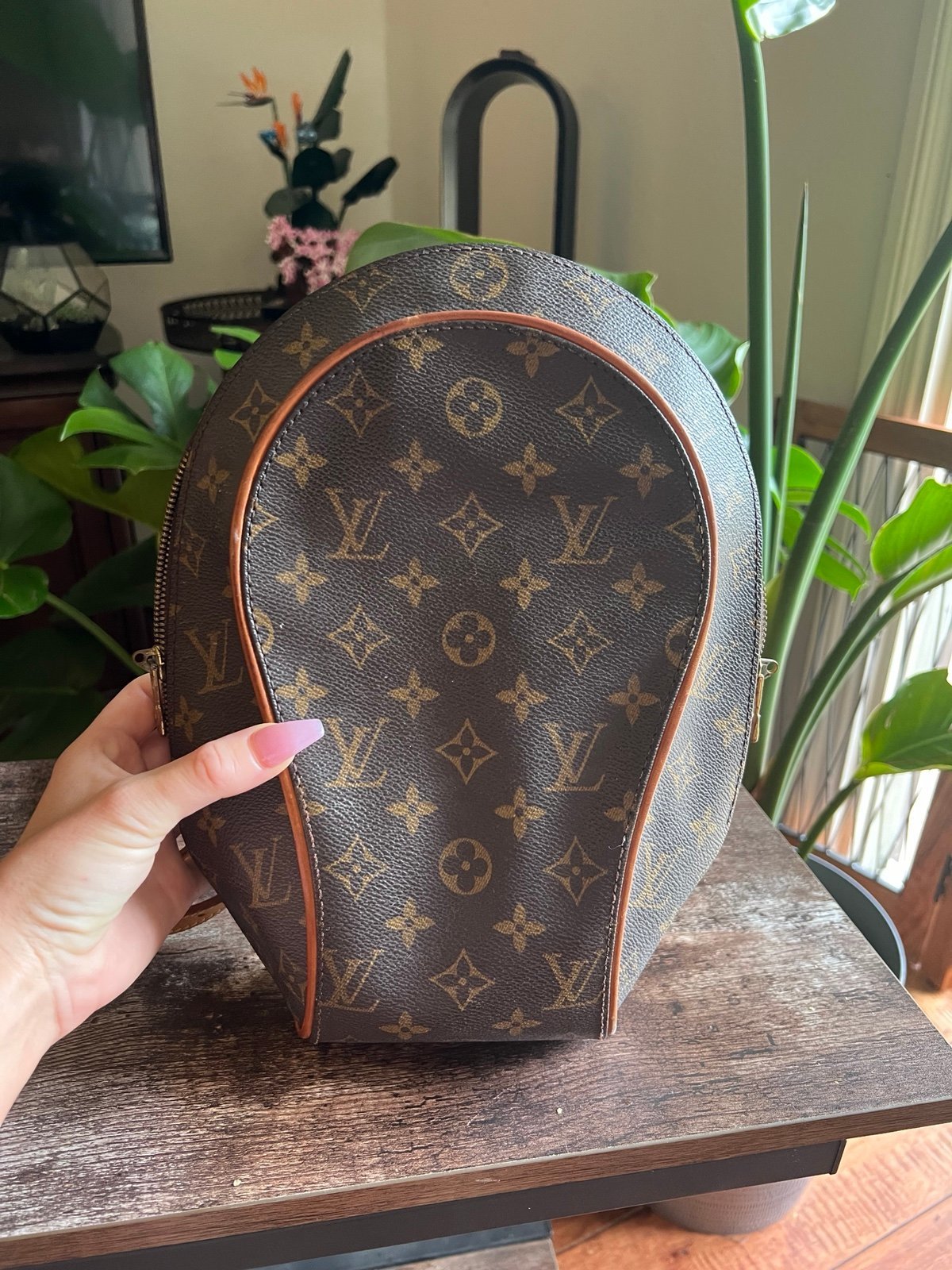Louis Vuitton BackPack