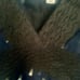 Joie VTG Y2K Navy Polka Dot Babydoll Crochet Trim Cami Top Size S