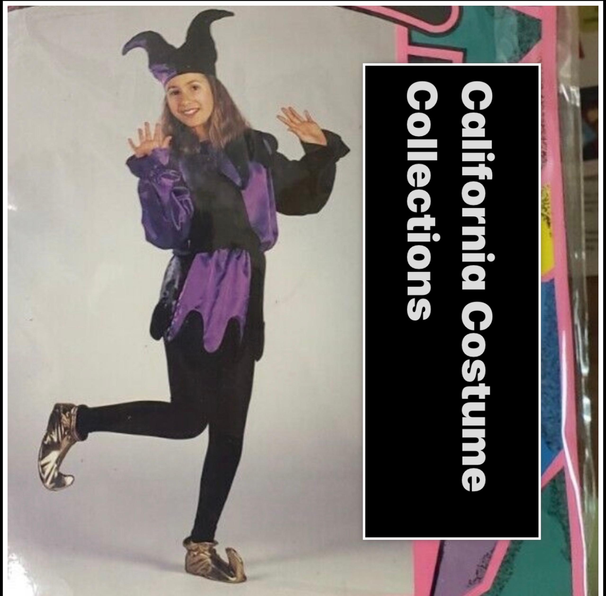 California Costume Collections Satin Jester Costume