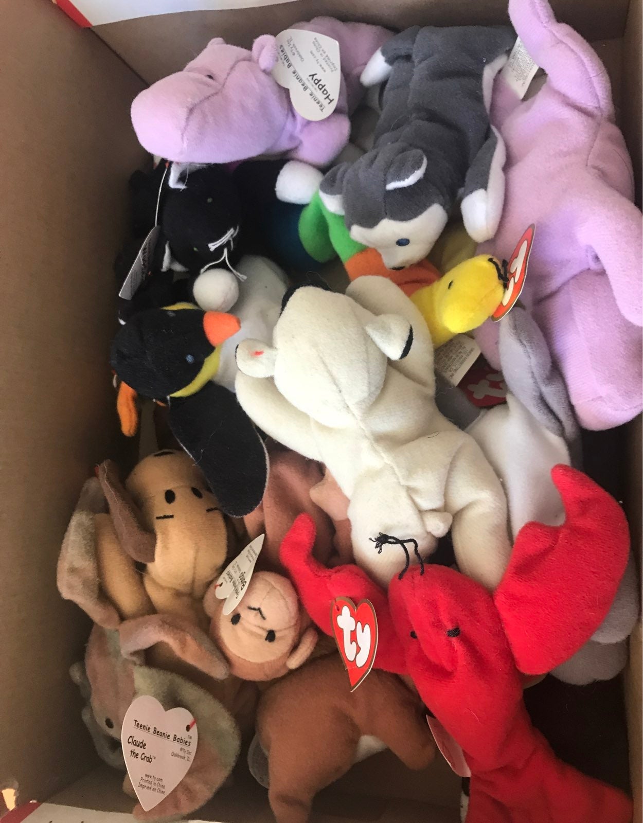 Teenie beanie babies Lot